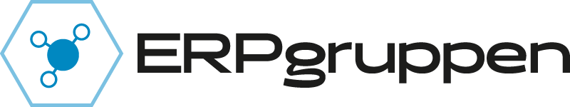 ERP Gruppen partner logo