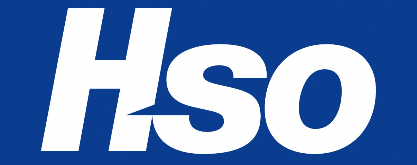 HSO Partner logo