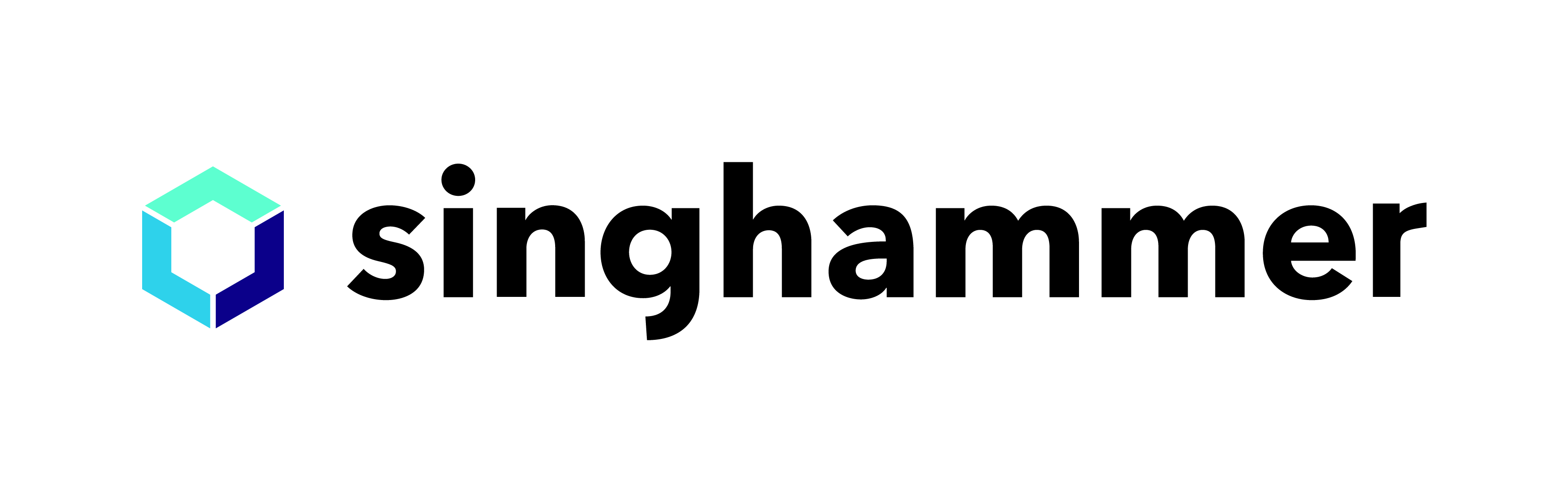 Singhammer logo