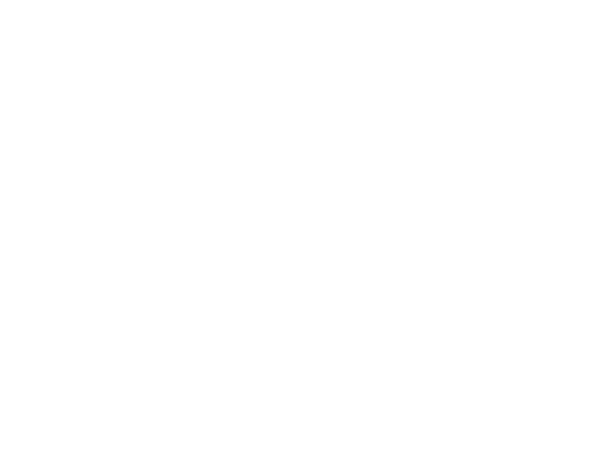 XtensionIT white logo