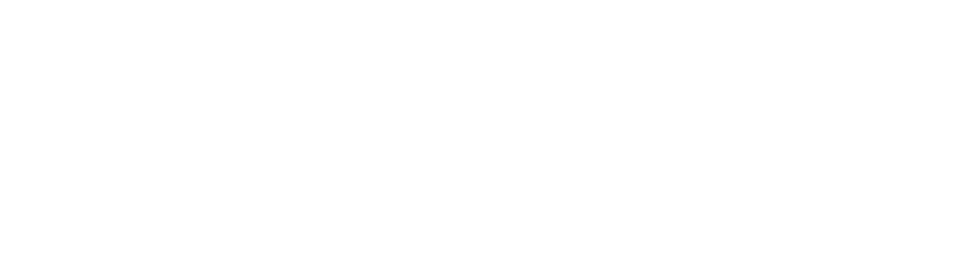 nShift white logo